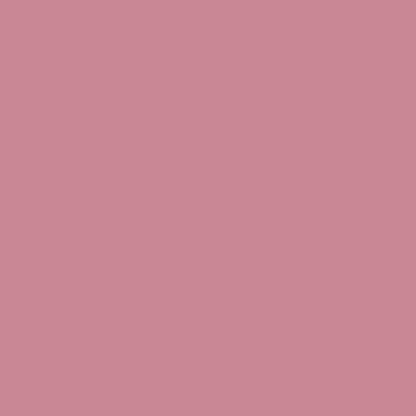 Shopaarel Silky Matte Gloss Liquid Lipstick - Gorgeous-12 - Distacart