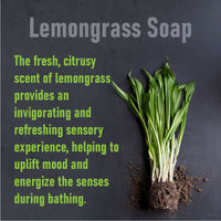 Thumbnail for Prakriti Herbal Soap Lemongrass - Distacart
