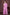 Morchari Pink Cotton Chanderi Embroidery Saree Unstitched Blouse