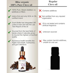 Thumbnail for Blise organic Clove Essential Oil - Dista