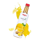 Thumbnail for Mapro Lemon Ginger Squash - Dista