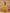 Yufta Mustard Floral_Print Pure Cotton A-Line Kurta Dupatta Set