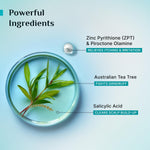 Thumbnail for Pilgrim Australian Tea Tree Non-Drying Anti-Dandruff Shampoo