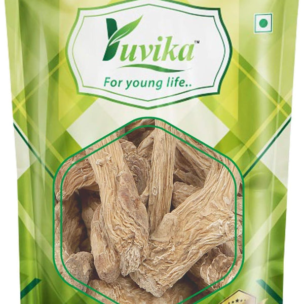 Yuvika Shakakul Mishri - Trachydium Lehmanni