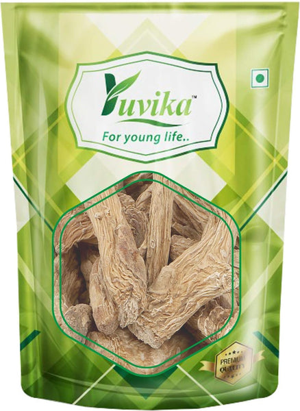 Yuvika Shakakul Mishri - Trachydium Lehmanni