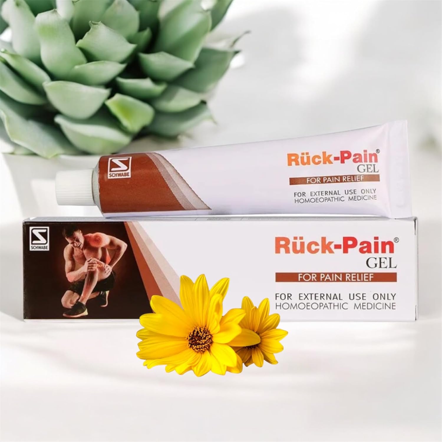 Dr. Willmar Schwabe India Topi MP Cream - Distacart