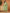 Yufta Green Cotton Strappy Kurta Dupatta Set