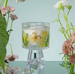 Thumbnail for Jelly Gel Wax Candle Set In Crystal Glass Bell Cup With Dried Flower Scented And 2 Refillers