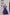 Lorenvalley Fashion Purple Roman Silk with Attractive Gota-Patti Lace Lehenga Choli