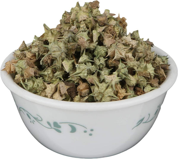 Yuvika Gokhru Chota | Gokhroo Chota - Tribulus Terrestris Seeds - Small Caltrops