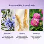 Thumbnail for Naturali Anti-Hairfall Scalp Serum with Rosemary, Ginseng & Redensyl - Distacart