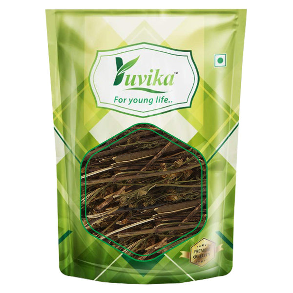 Yuvika Chiraita Asli - Swertia Chiraita - Bitter Stick - Indian Gentian