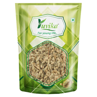 Yuvika Brinjasif | Brinjasaf - Achillea Millefolium Linn