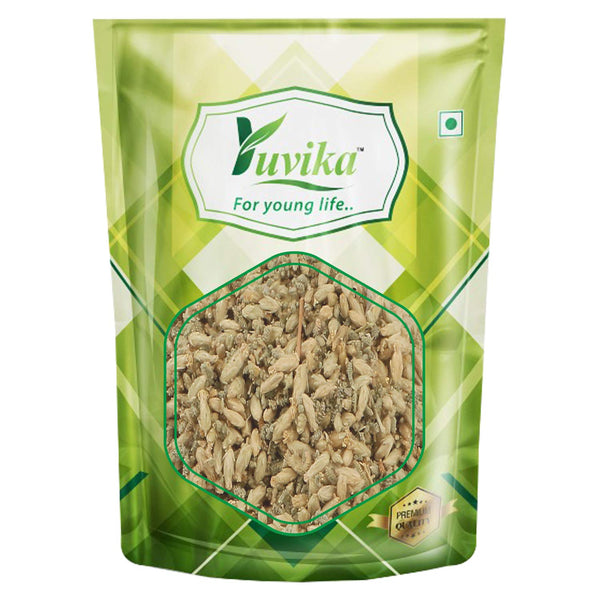 Yuvika Brinjasif | Brinjasaf - Achillea Millefolium Linn