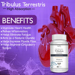 Thumbnail for Vokin Biotech Tribulus Terrestris 700mg Energy, Performance & Stamina 90 Veg Capsules