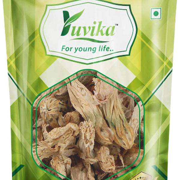 Yuvika Gul Khera - Gul Khaira - Alcea Rosea