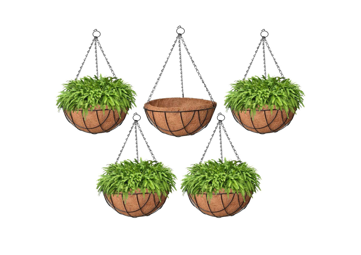 Go Hooked 8" Coir Hanging Basket/Coco Gardening Liner with Hanging Pots and Metal Hanging Chain/Hanging Planters- Set of 5 (Brown)