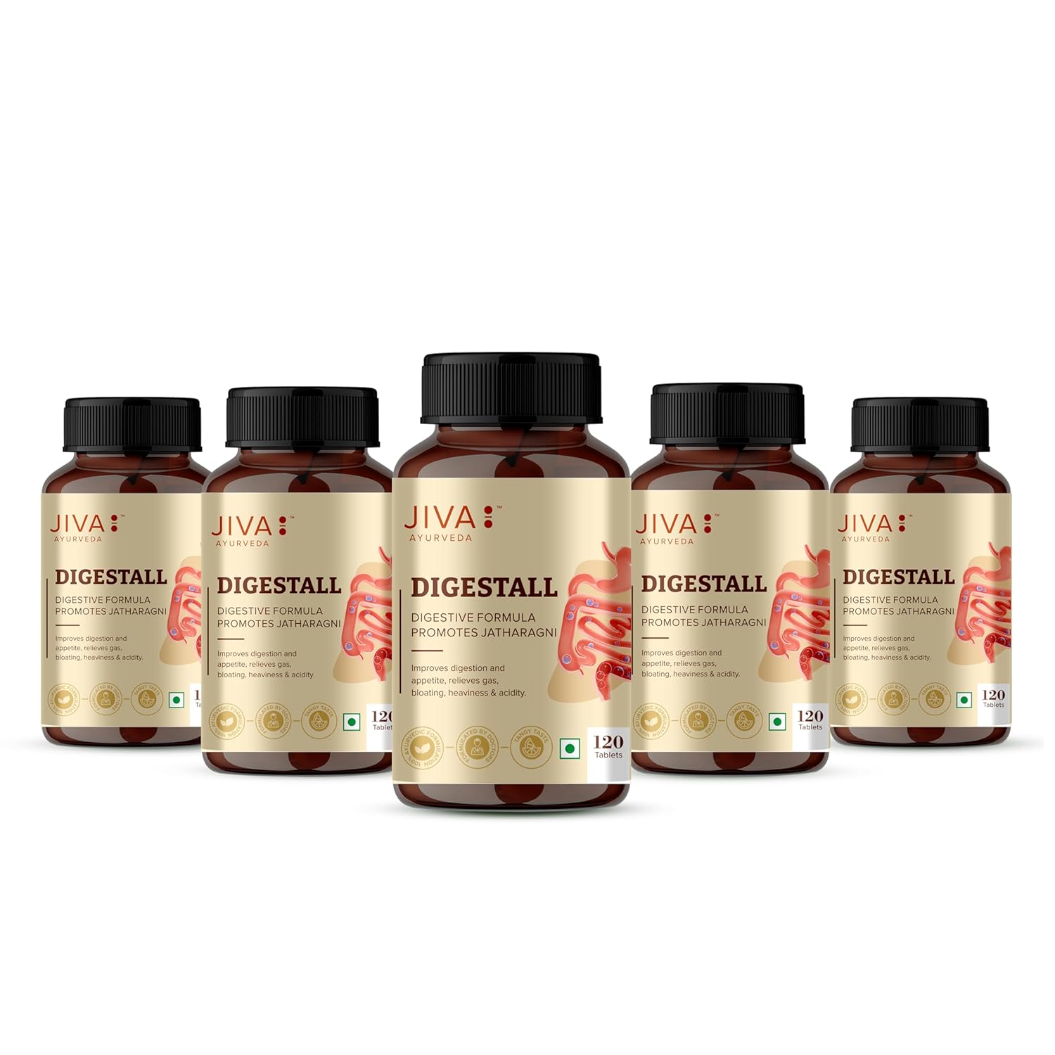 Jiva Ayurveda Digestall Tablets