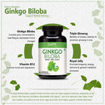 Thumbnail for Vokin Biotech Ginkgo Biloba with Brahmi Boosts Concentration & Learning Activities 90 Capsules