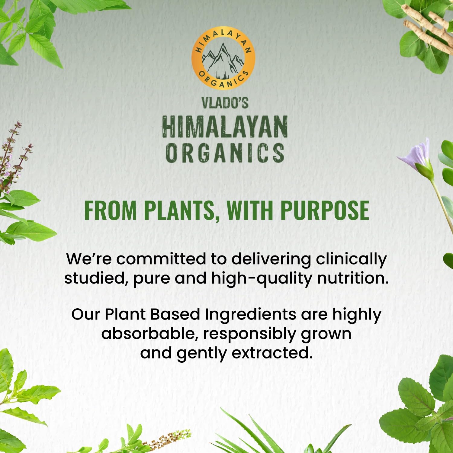 Himalayan Organics Korean Ginseng 800 mg Vegetarian Capsules