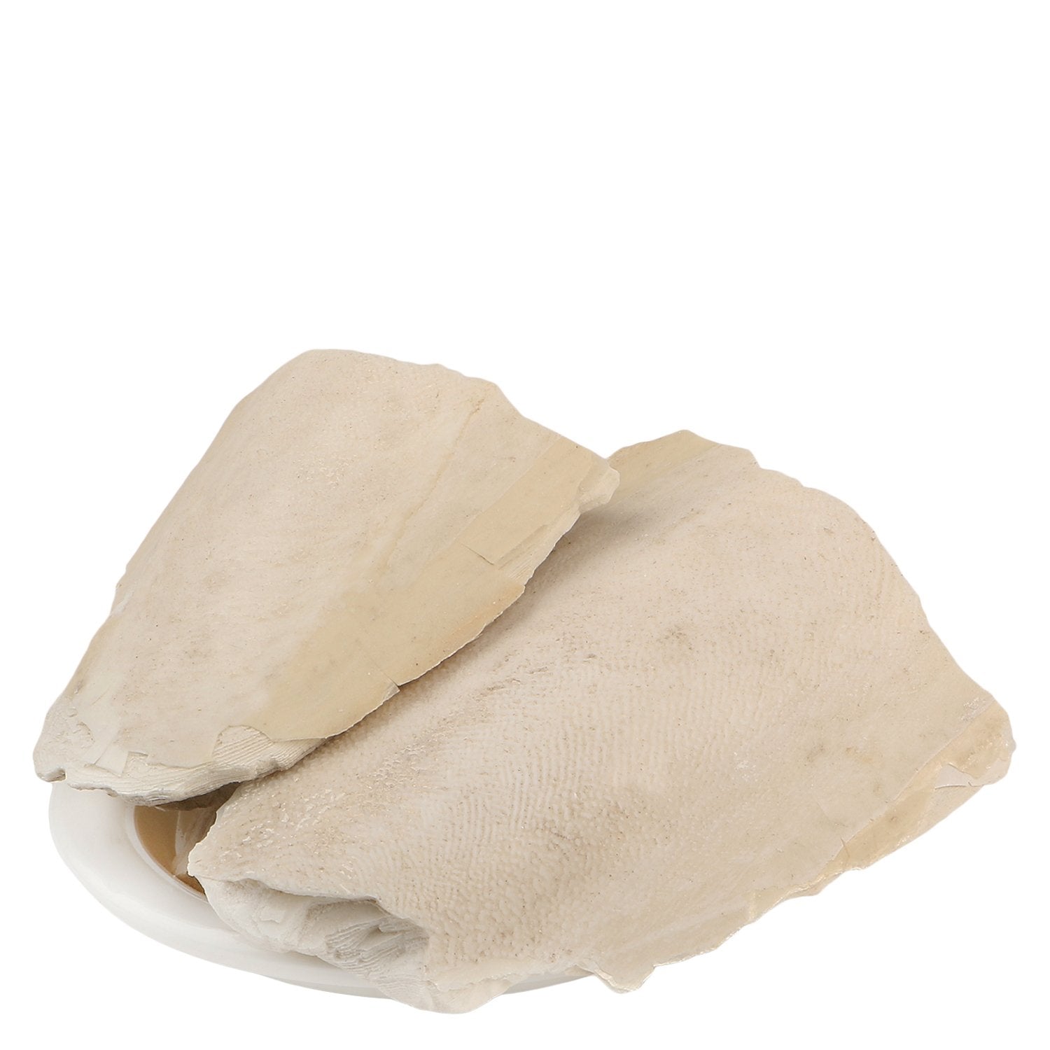 Yuvika Samunder Fan | Samunder Jhaag - Sepiae Os