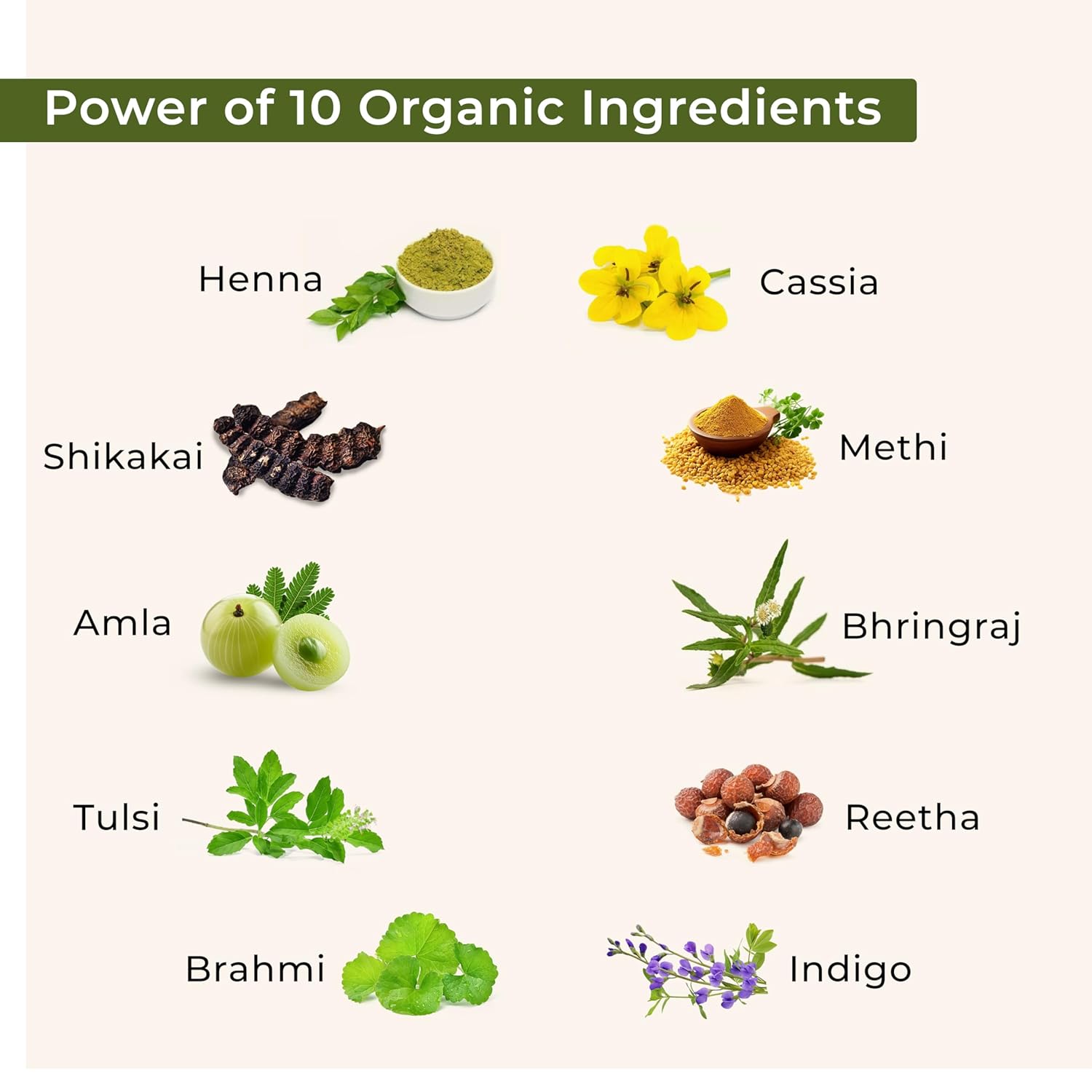 Indus Valley Bio Organic 100% Pure Indigo Powder & Herbal Henna Powder Hair Color Combo Kit for Natural Hair Dyeing - Black Indigo - 100 gm Each Without Preservatives - Distacart