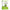 Attar Ayurveda Wheat Grass Powder
