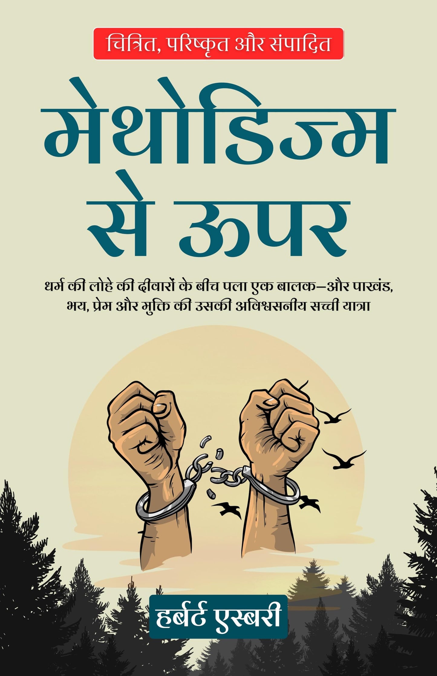 Above Methodism in Hindi मेथोडिज्म से ऊपर (सचित्र और परिशोधित) - Herbert Asbury - Dista
