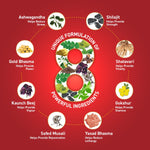 Thumbnail for Zandu Vigorex Gold Daily Energizer