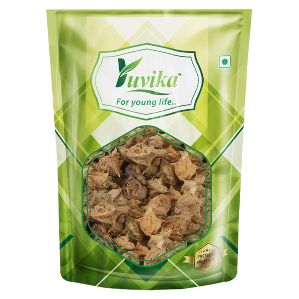 Yuvika Gokhru Bada - Pedalium Murex - Large Caltrops