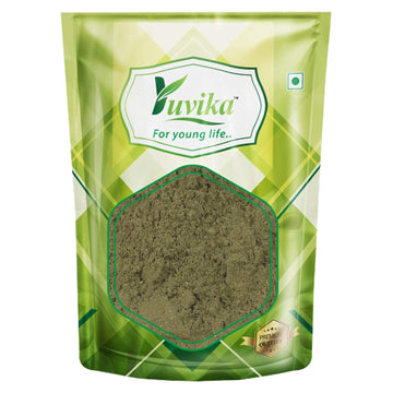 Yuvika Podina | Pudina Powder - Mentha Arvensis Linn - Mint Leaves - Distacart
