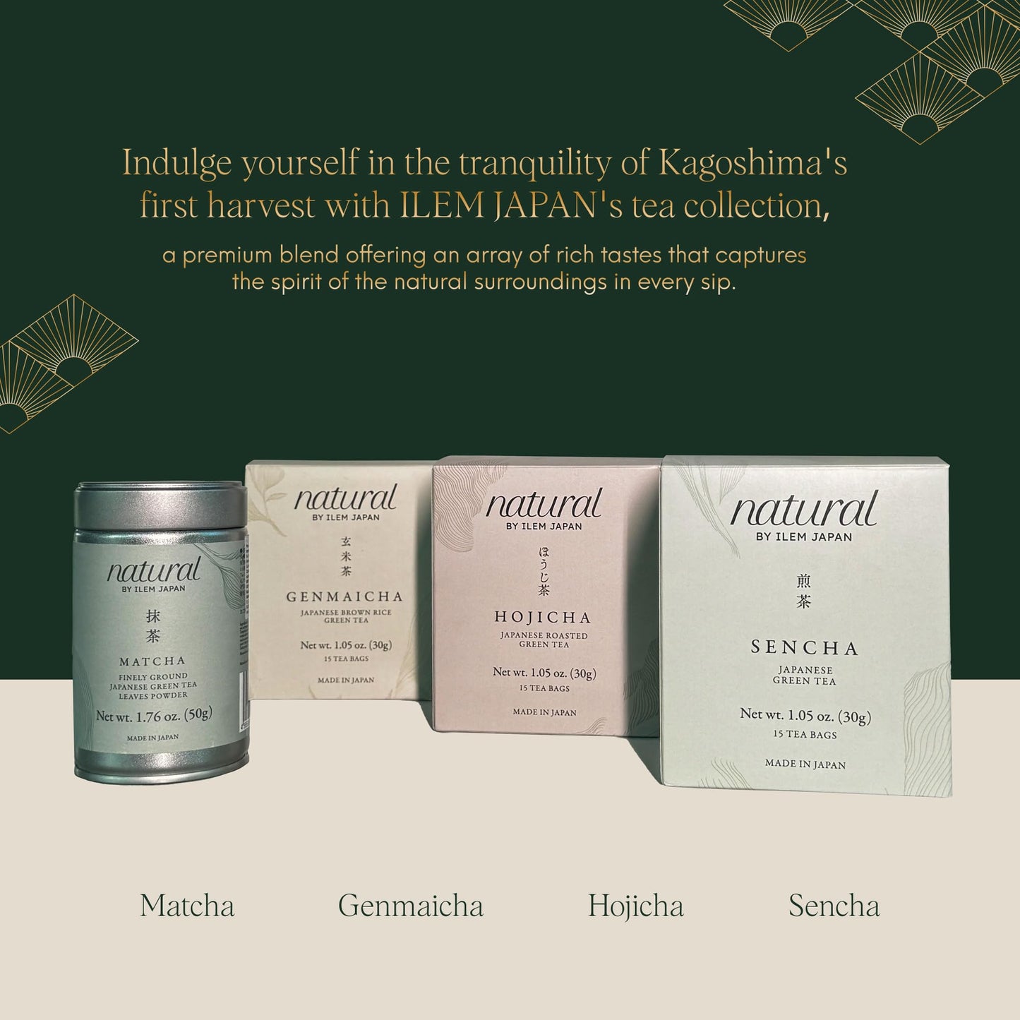 ILEM JAPAN Genmaicha Japanese Brown Rice Roasted Green Tea | Sourced From South Japan | Green Tea Leaves | 15 Tea Bags
