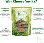 Thumbnail for Yuvika Hadjod - Cissus Quadrangularis