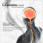 Thumbnail for Vokin Biotech L-Carnitine Acetyl (ALCAR)- Support Brain Health- 500 mg – 90 Capsules