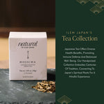 Thumbnail for ILEM JAPAN Hojicha Tea Bags, Organic Roasted Japanese Green Tea, Low Caffeine, Toasty Nutty Flavor, 15 Tea Bags | 30g