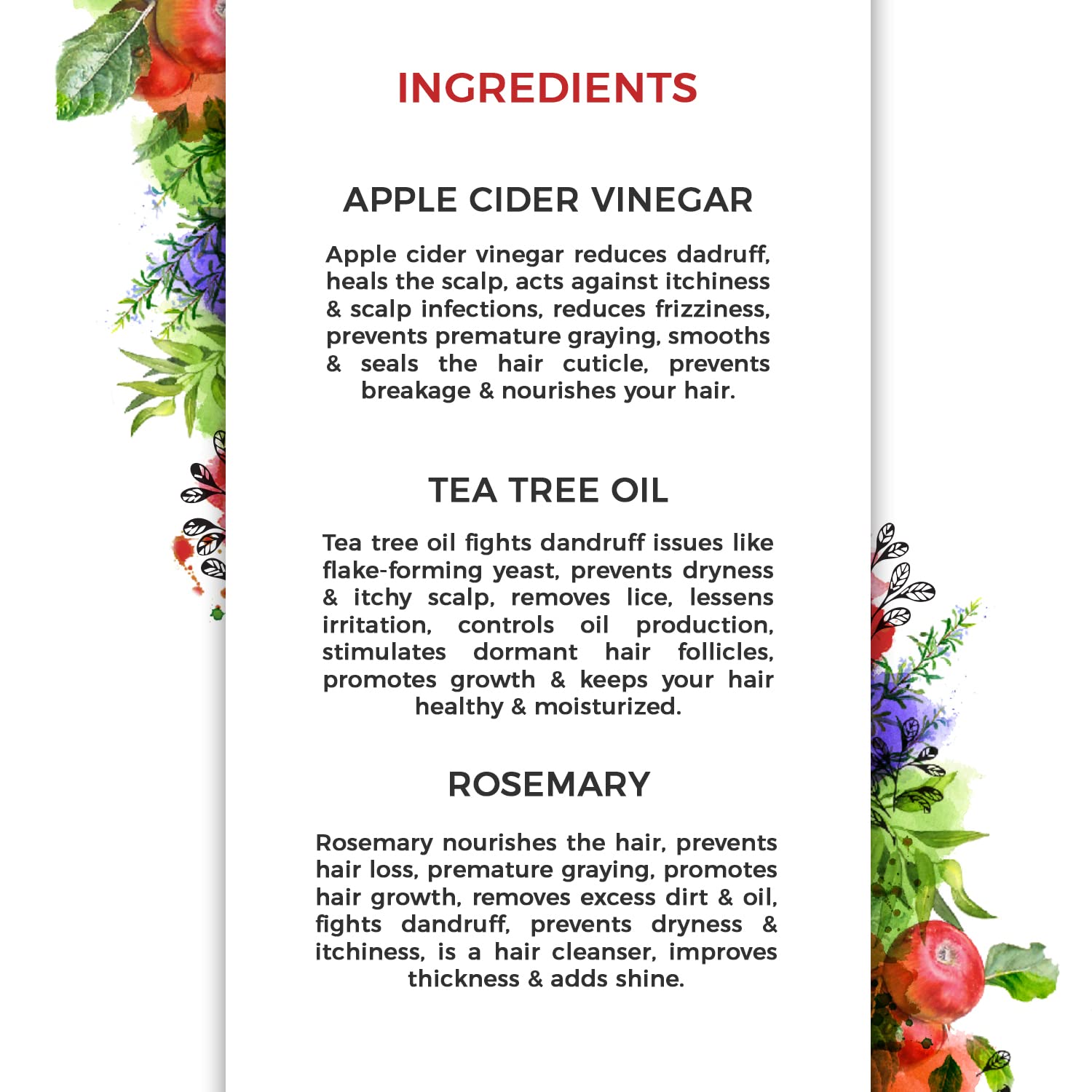 The Organic Forest Apple Cider Vinegar, Tea Tree & Rosemary Shampoo - Distacart