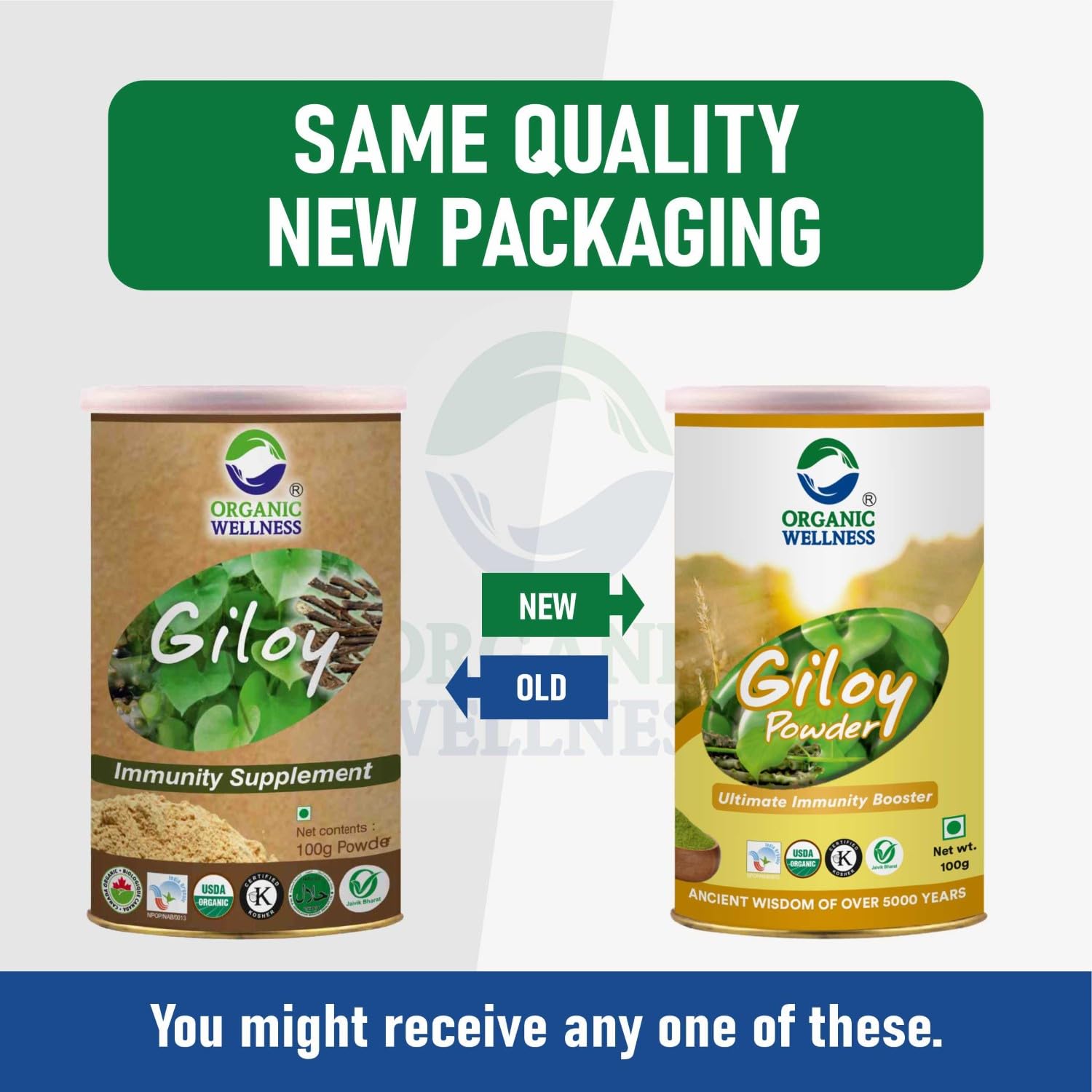 Organic Wellness Giloy Powder - Distacart