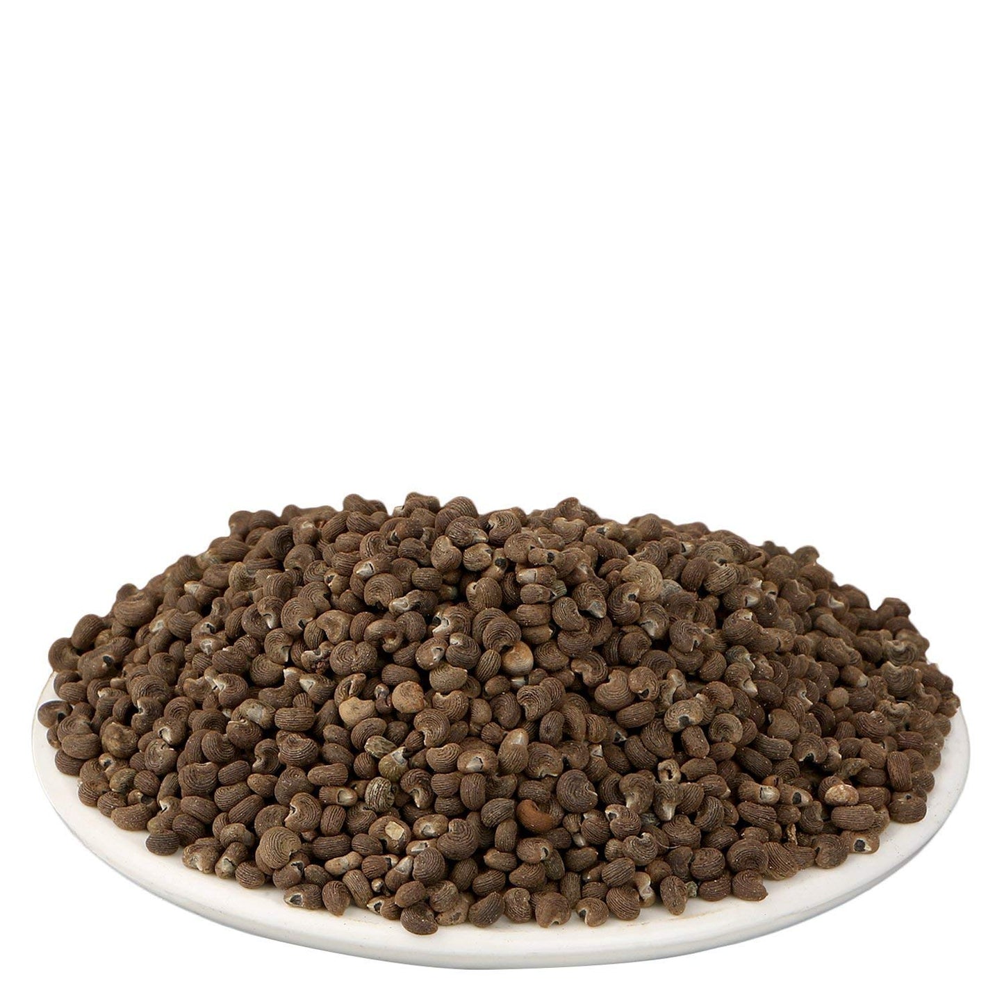 Yuvika Mushk Dana - Ambrette Seeds - Distacart