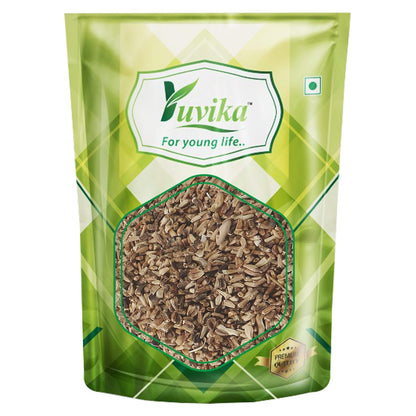 Yuvika Kasni Seeds - Cichorium Intybus - Endive | Chicory - Distacart