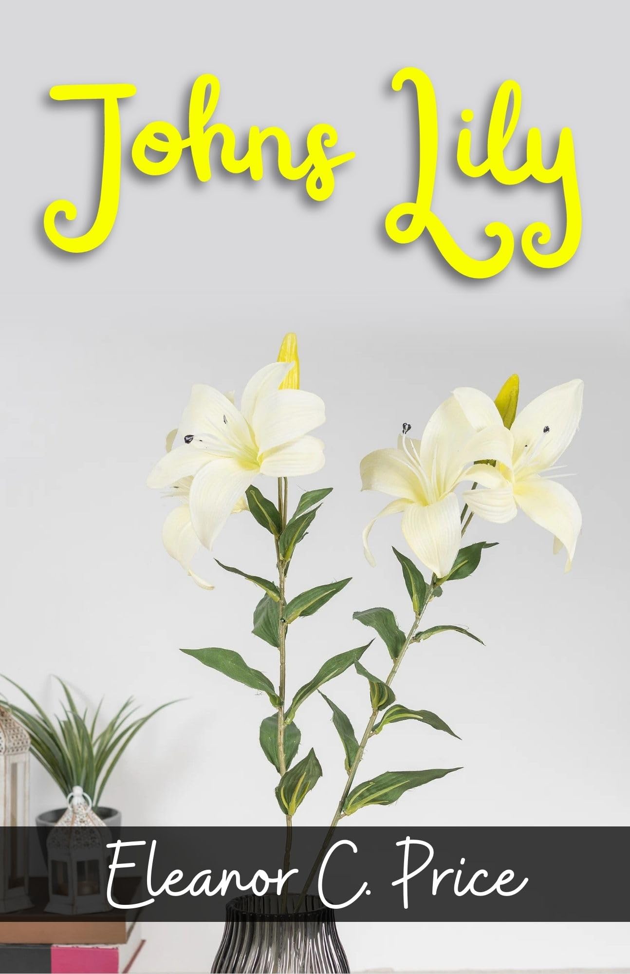 Johns Lily by Eleanor C. Price: A Heartwarming Tale of Love and Resilience: Literature & Fiction > Historical Fiction > Victorian - Distacart