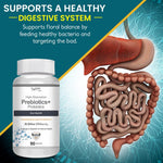Thumbnail for Vokin Biotech Prebiotics + Probiotics 20 Billion Cfu Supplement with Delayed-Release Capsules for Temperature Stable, Digestion and Immune Health (90 capsules)