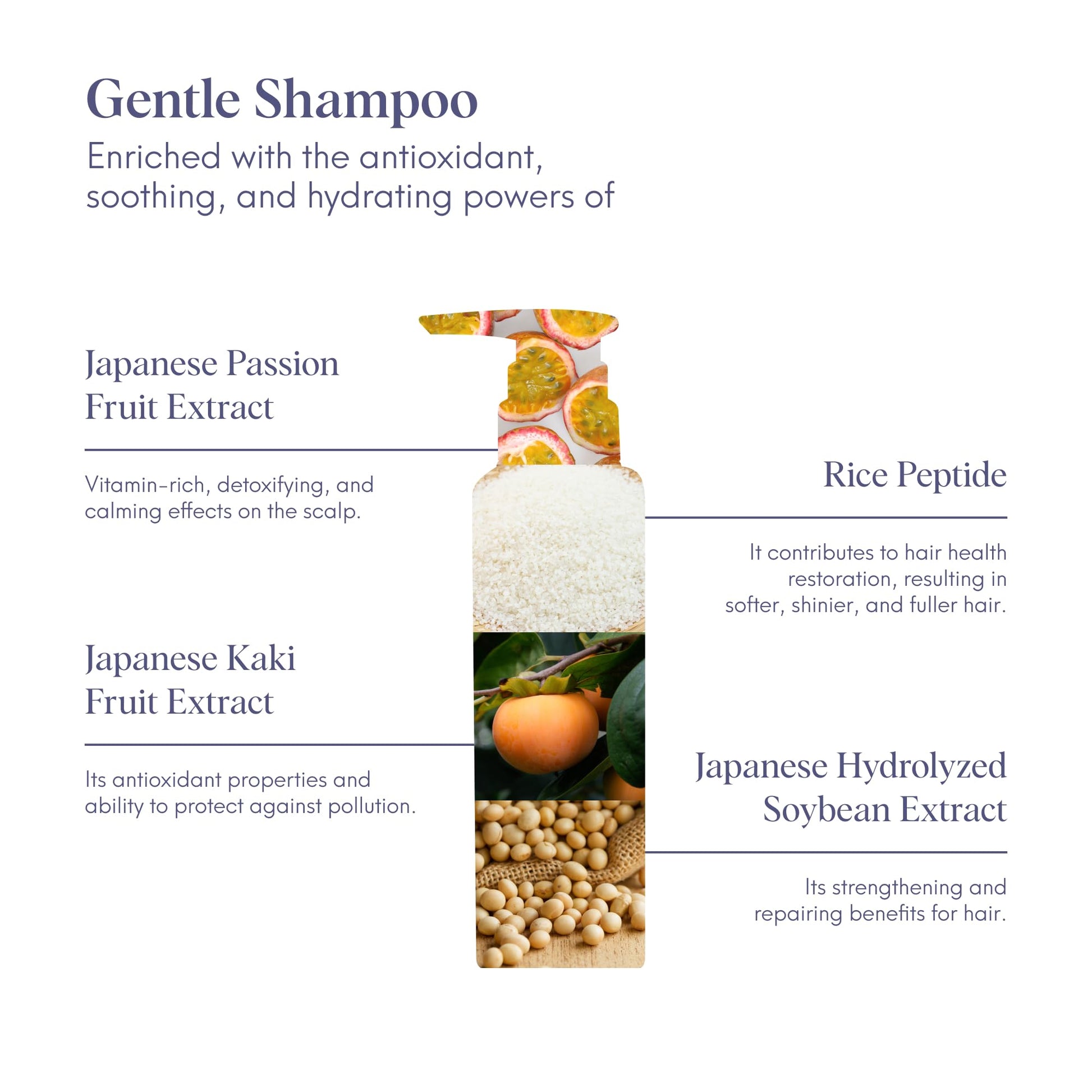 ILEM JAPAN Gentle Mild Japanese Shampoo | Best Before June 2026 | Damage Free Hair & Scalp Hydration with Rice Peptides | For Women & Men | Silicone-Free | All Hair Types | Natural Formula