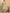 Shivam Fabrics Sea Green Chanderi Fabric Printed Saree