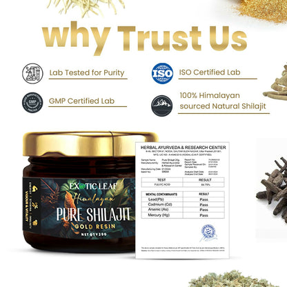 Exotic Leaf Gold SJ Resin - Distacart
