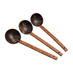 Thumbnail for Thenga Coconut Shell Ladles/Spoon Set - Dista