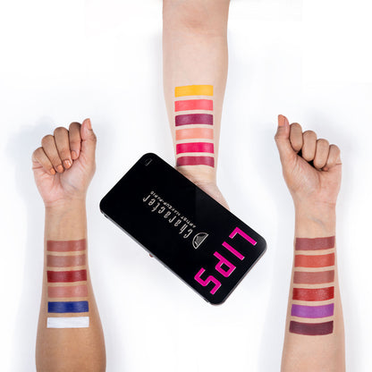 Character Pro Lipstick Palette C-A401 - Distacart