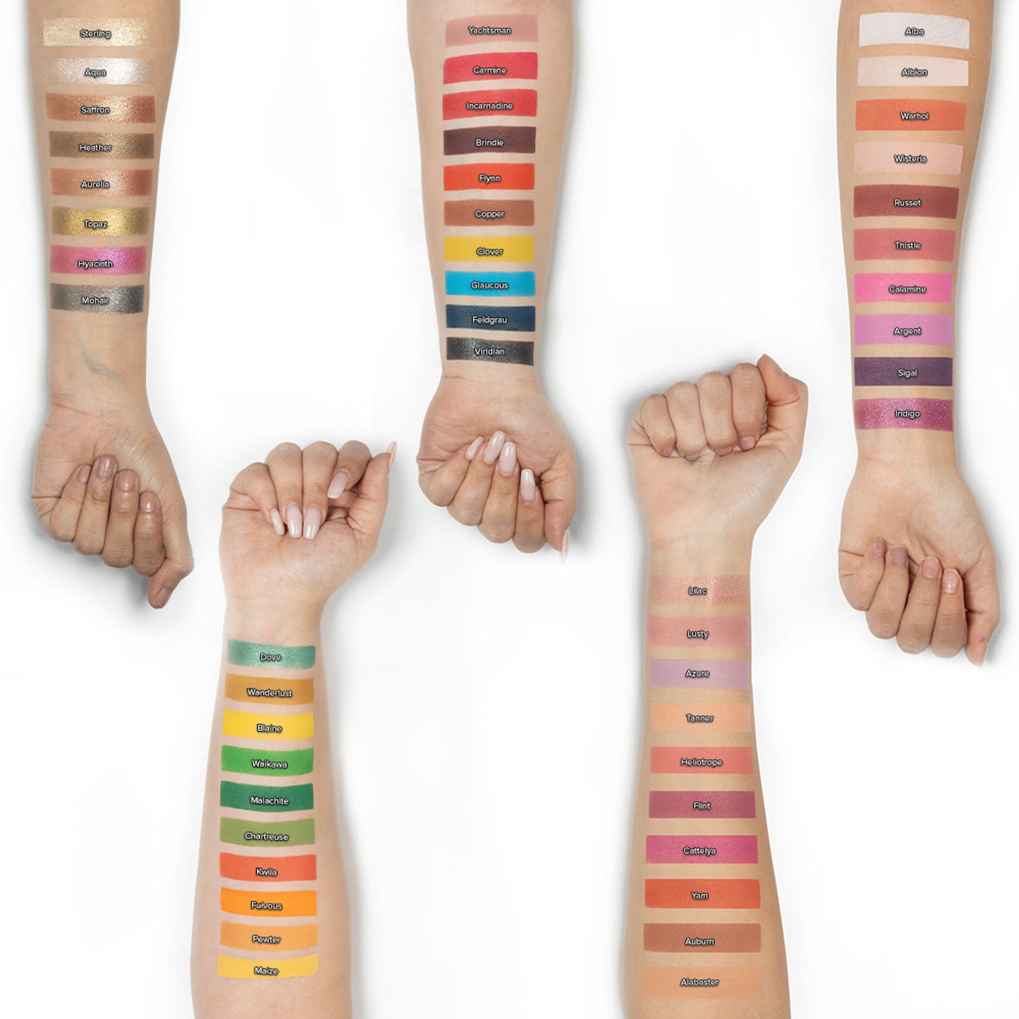 Character Royal 48 Color Eyeshadow Palette - Roe001 - Distacart