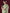 kasee Embellished Floral Sarees