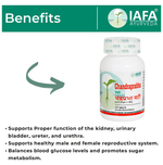 Thumbnail for Iafa Chandraprabha Vati