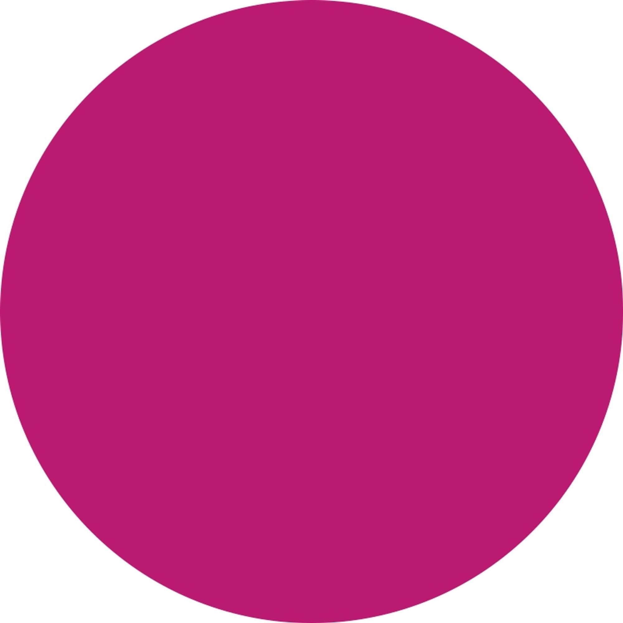 Matt Look Lip Makeup Girls Essential Color Moisturizing Lip Balm - Dangerous Pink - Distacart